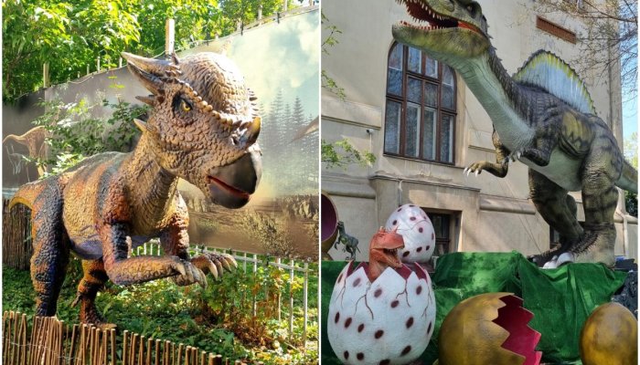 Dino Park București, închis de Protecția Consumatorului