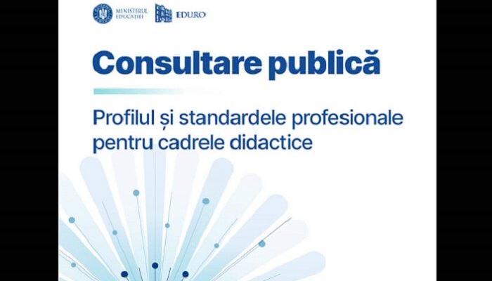 consultare publică