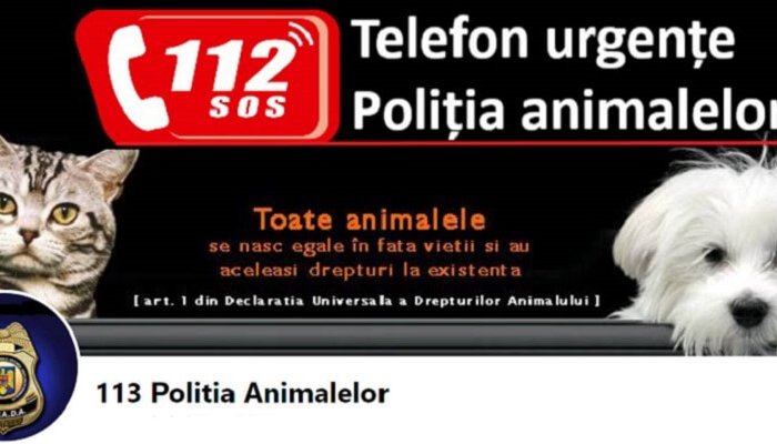 Protecţia Animalelor