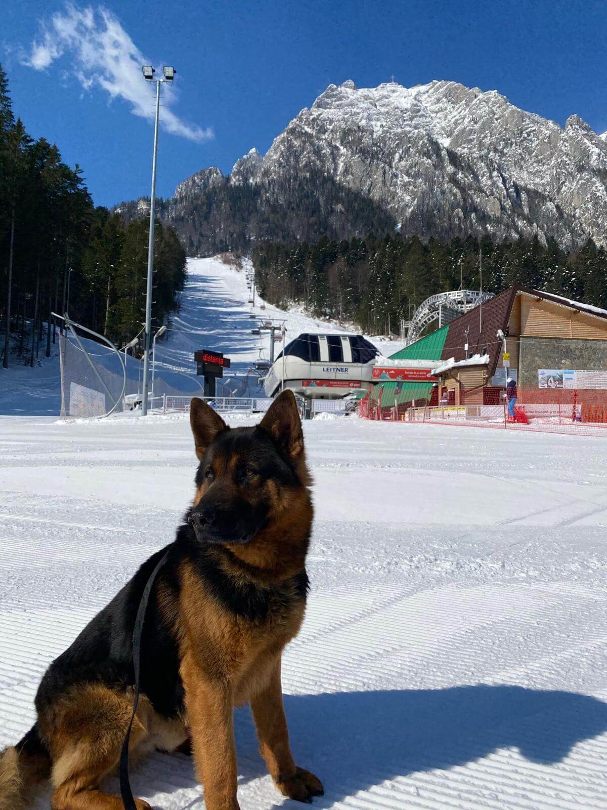 Jandarmeria Montană