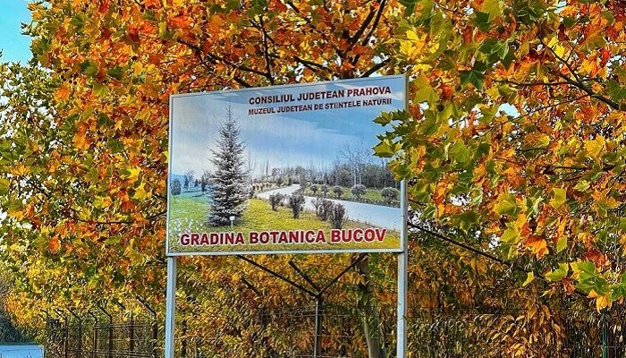 Grădina Botanică Bucov