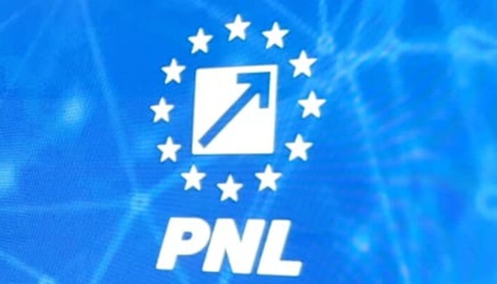 pnl candidați parlament brăila