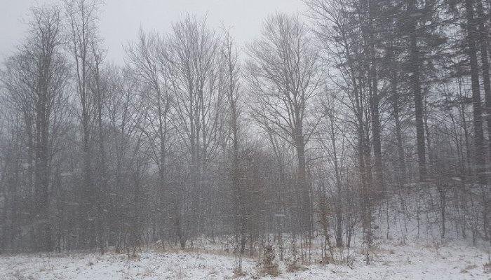 viscol ninsori alerte meteo anm