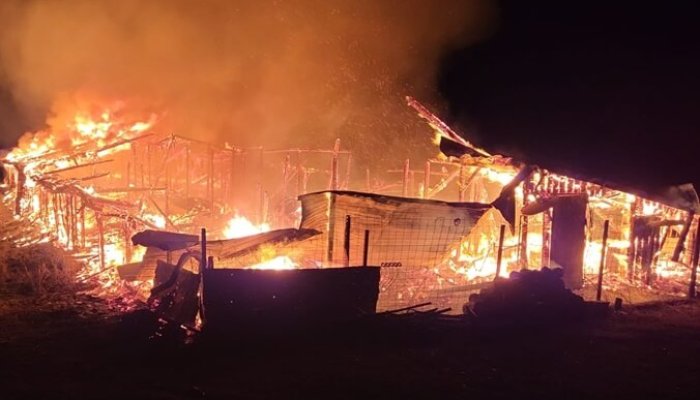 incendiu slănic pagube animale foc