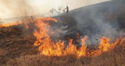 Incendiu uriaș în Prahova! Flăcările s-au întins pe 120 de hectare. Ard și trei locuințe părăsite