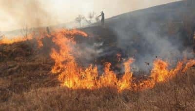 Bărbat găsit mort în urma unui incendiu de vegetație