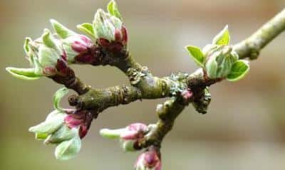 INFORMARE METEO emisă pentru weekend-ul de Florii. Ploi, temperaturi scăzute și vânt. La munte va ninge