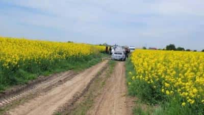 Cadavru tranşat, descoperit în portbagajul unei maşini incendiate, în Ilfov