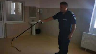 VIDEO | Şarpe găsit de un pacient într-un spital din România