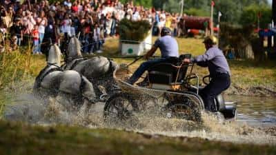 VIDEO Karpatia Horse Show, cel mai așteptat eveniment ecvestru, revine pe Domeniul Cantacuzino de la Florești