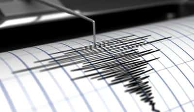 Alte patru cutremure, tot de suprafață, în Vrancea, după seismul de 4,5 grade de azi-noapte